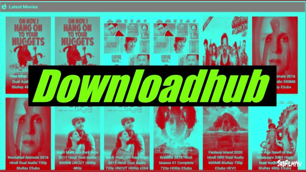 Downloadhub 2023 Website Review