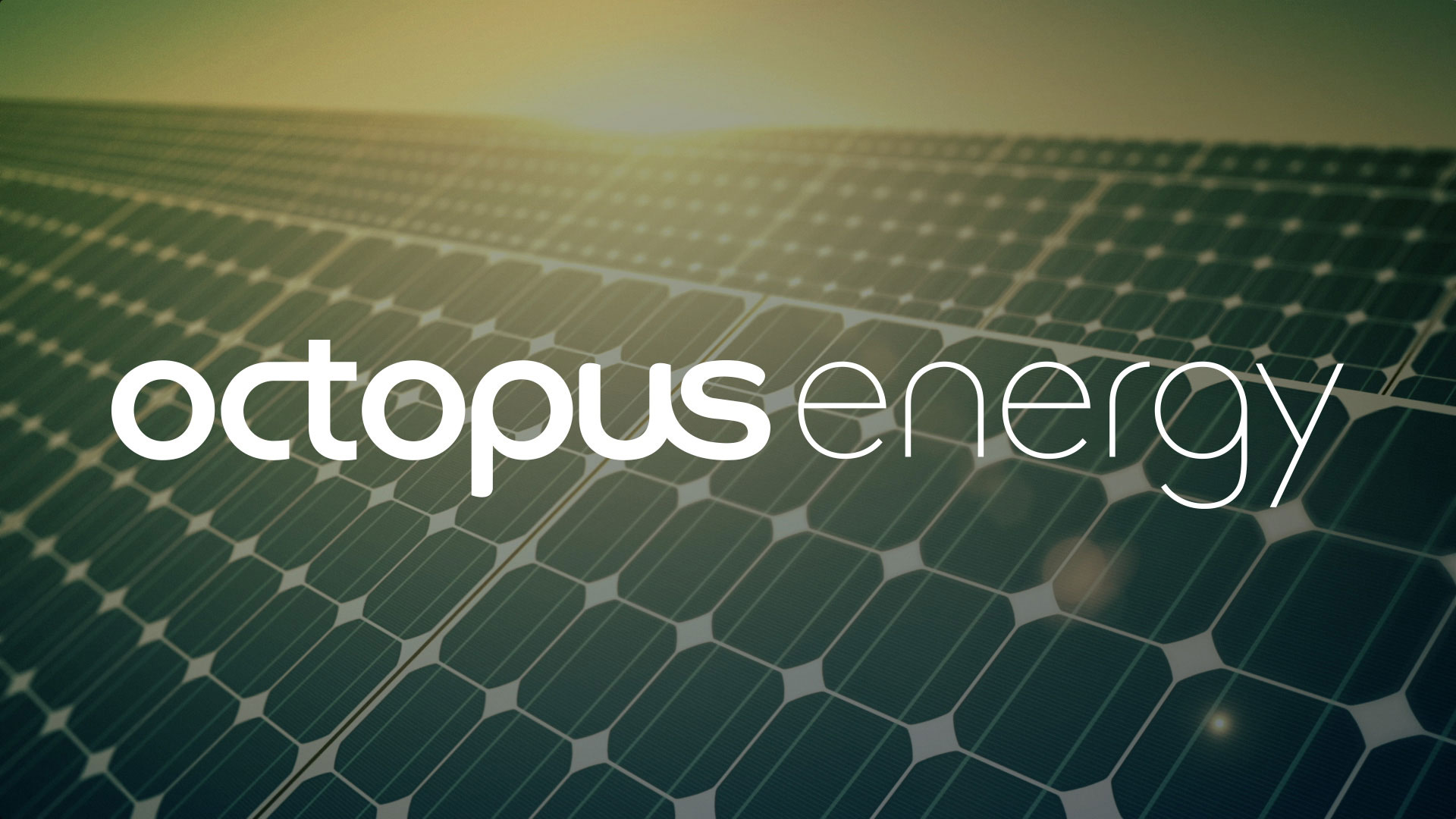 Octopus energy reviews: is it actually a good energy supplier?